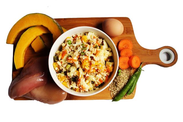 Fresh Food Supplier for Dogs in Delhi Fresh Food Supplier for Dogs in Delhi