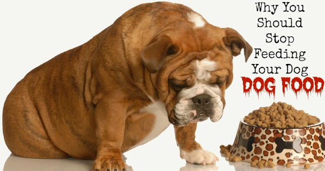 Dangers of Raw Diets for Dogs Dangers of Raw Diets for Dogs