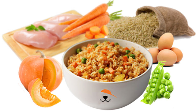 Health Benefits of Home Cooked Meals For Your Dog Health Benefits of Home Cooked Meals For Your Dog