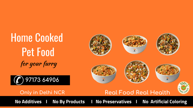 Home Cooked Dog Food Supplier in Delhi Home Cooked Dog Food Supplier in Delhi
