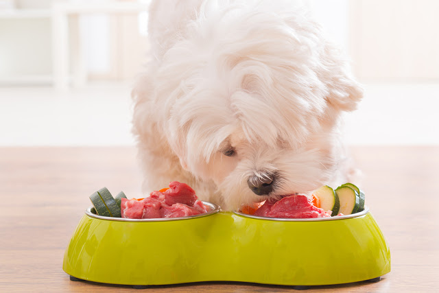 Health Benefits of Home Cooked Meals For Your Dog Health Benefits of Home Cooked Meals For Your Dog