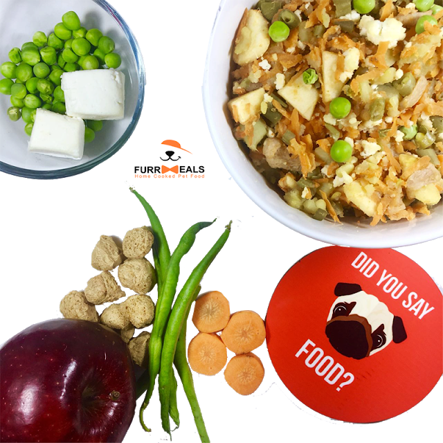 Home Cooked Dog Food Supplier in Delhi Home Cooked Dog Food Supplier in Delhi
